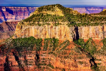Fototapeten Naturpark Buttes of the Grand Canyon at the north rim  © Scott Bufkin