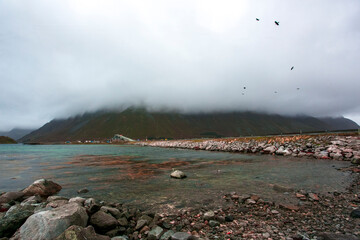 
Foggy Gimsoystraumen Bridge, on Lofoten Islands, North Norway
