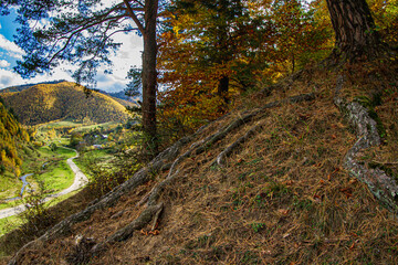Landscape in Romania