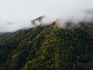 Landscape scenic drone photo of slopes of mountains covered trees in autumn colors in a fog