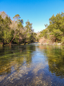 Paysage nature sur les rives de la Siagne dans le Var 
