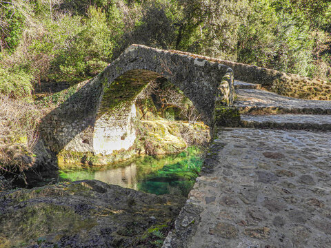 Paysage nature sur les rives de la Siagne dans le Var  avec le pont des Tuves &agrave; Montauroux