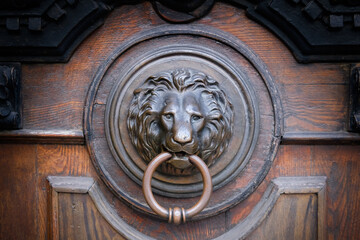 Close-up of a beautiful door handle in the form of a lion's head