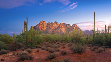 Ragged Top in Ironwood Forest National Monument.
