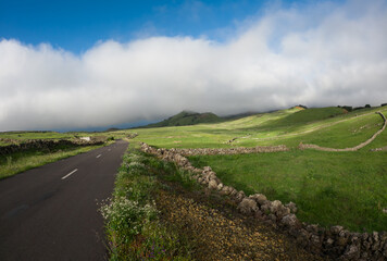 Fototapeta premium Verdes prados desde el interior de la isla de El Hierro. Islas Canarias.