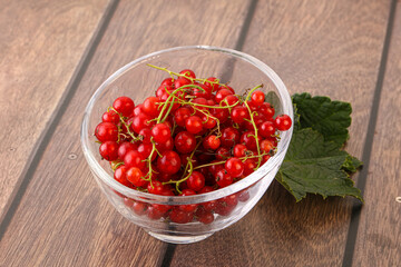 Ripe sweet organic red currant heap