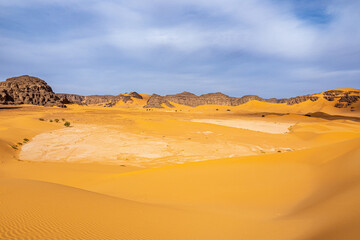 Fototapeta na wymiar beautiful view in the Desert Sahara in Algeria