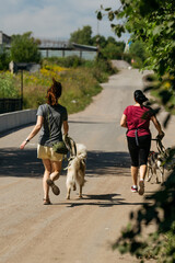 Two young women running with shelter dogs. Defocused lifestyle candid photo.