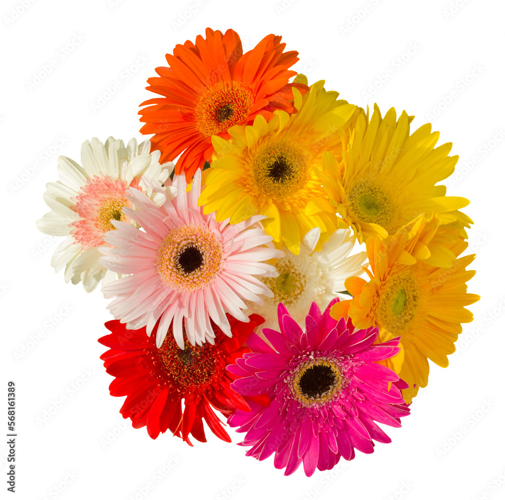 Poster bouquet of gerbera flowers