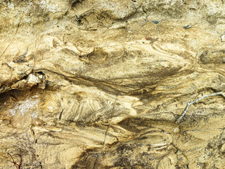 background texture studio scene of forest sand ground, texture of the forest floor. sand of various stripes