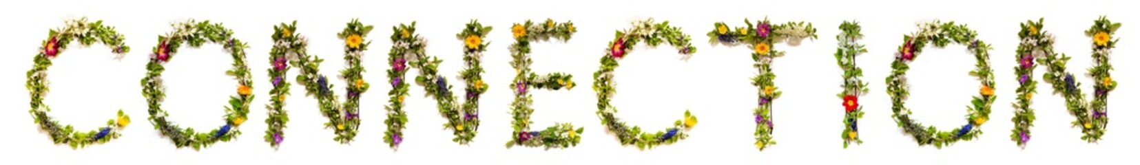 Blooming Flower Letters Building English Word Connection