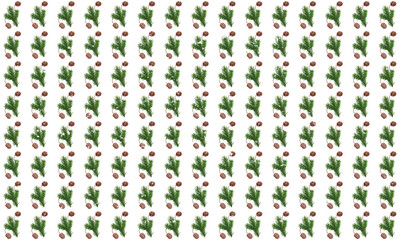 Christmas pattern of fir branches and sequoia cones on white background. Wonder of natural design.Gift wrapping paper design.