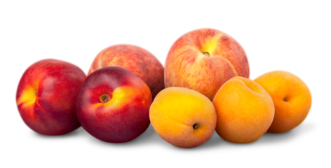 Apricots and Peaches