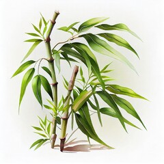 Fototapeta na wymiar Watercolor Bamboo Shoots Isolated on White Background. Generative AI