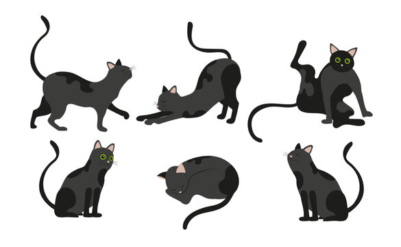 Cat vector silhouettes set Isolated on white background, cats in different poses