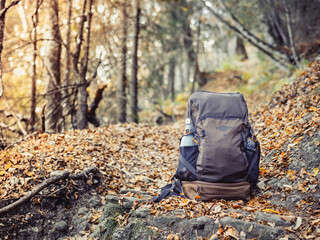 Outdoor backpack next to a tree trunk with green moss in the forest. Hiking excursion concept,