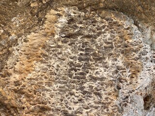 Fossil stone rock natural background.