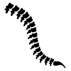 Black vector spine vertebrae - obrazy, fototapety, plakaty