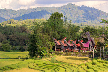 Tongkonan is a traditional house of the Toraja tribe which is usually used as a rice barn and a place to live. Noise and grainy images.