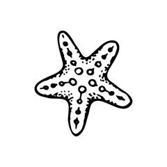 Starfish sketch. Summer beach vacation. Hand drawn vector line art illustration.