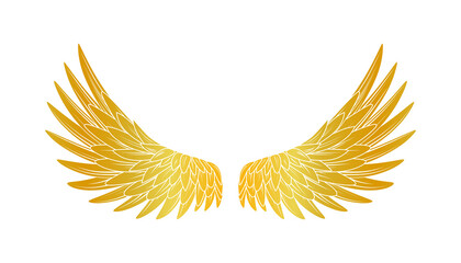 gold eagle wings on transparent background – illustration © mr.mmz