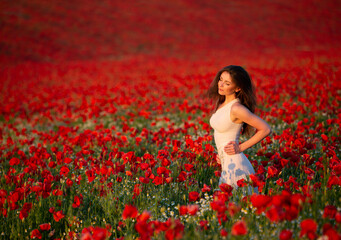 Beautiful and sexy brunette woman enjoys the sunshine of the setting Sun in the middle of a wonderful red flower field of poppies.