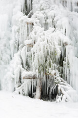 Snow covered Icicles, looks like a frozen cascade at winter season. 