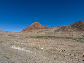 A green meadow at an altitude of 4600 m above sea level.