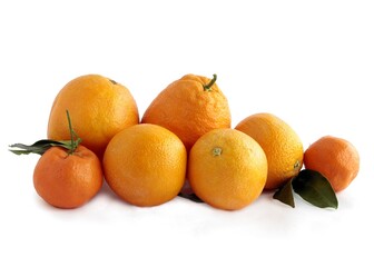sweet and juicy citrus fruits close up