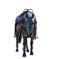 knight horse isolated on white