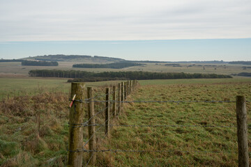 animal fence in a green grass field