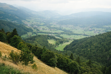 Fototapeta premium Majestic mountains in the Alps covered with trees and clouds