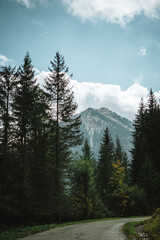 Majestic mountains in the Alps covered with trees and clouds