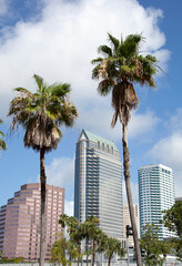 Fototapeta na wymiar Tampa Downtown Skyscrapers And Palm Trees