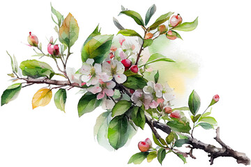 Blossoming apple tree branch in spring, watercolor drawing on a white background. Generative AI.