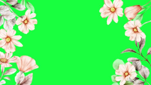 Beautiful Floral frame animation on green screen. Floral frame animation with key color. Women's day, Valentine's Day, and Wedding day frame. Illustration, Cartoon flower frame. Chroma color.