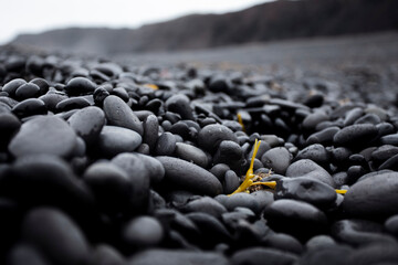 Playa de piedras en Islandia