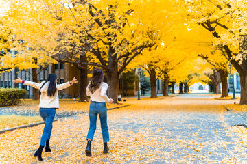 Asian woman friends enjoy and fun outdoor lifestyle travel together at park in Tokyo city, Japan on holiday vacation. Attractive girl looking beautiful yellow ginkgo tree leaves falling down in autumn