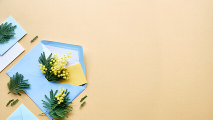 Blank card in human hand. Mimosa flowers in blue envelope on yellow golden background. Natural springtime decor. Flat lay, top view with copy-space, text place. Banner, panoramic composition.