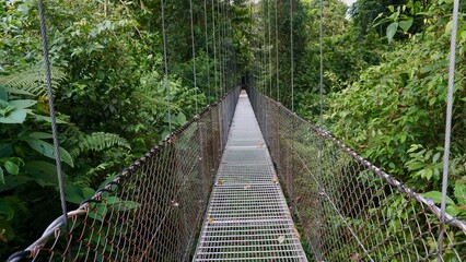 Long hanging bridge inside the Mistico Hanging Bridges Park, surrounded by lush tropical vegetation.