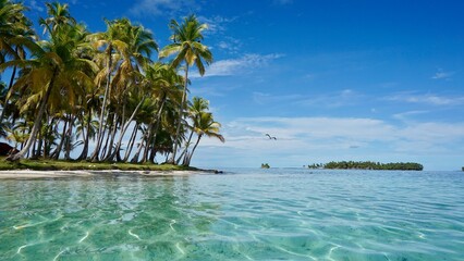 Coast of the Pelicano Island, one of the most famous islands in the San Blas archipelago, Panama.