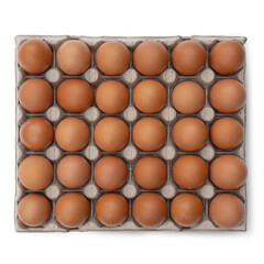egg corton box container