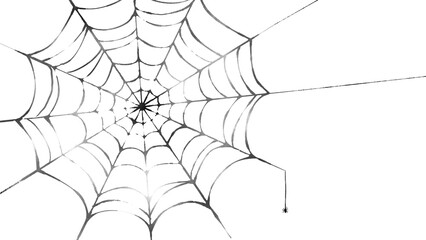蜘蛛の巣　背景　モノクロ　線
