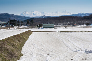 雪が残る春の水田

