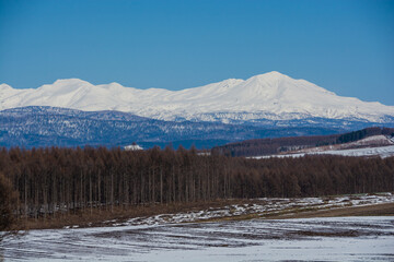 Fototapeta na wymiar 雪が残る春の畑作地帯と雪山　大雪山 