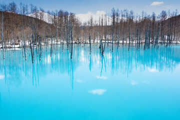 残雪が残る早春の青い池　美瑛町
