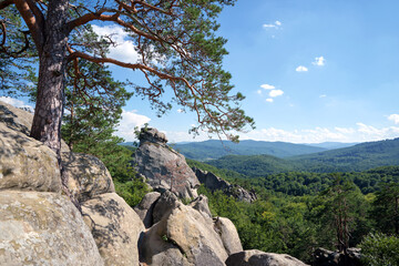 Big old pine tree growing on rocky mountain top under blue sky on summer mountain view background