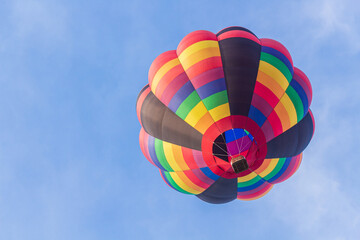 佐賀バルーンフェスタ会場でバルーンを見上げる