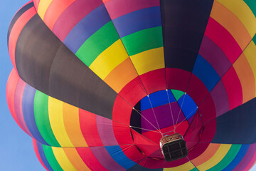 佐賀バルーンフェスタ会場でバルーンを見上げる