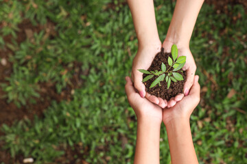 Two hands holding together a green young plant over the green grass. Earth day concept with copy space. 